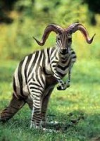 /album/fotogaleria/images-6-jpg/